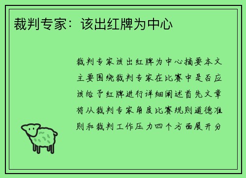 裁判专家：该出红牌为中心